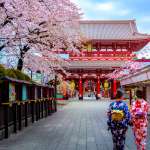 visite sportive de tokyo