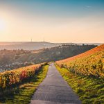 que faire à stuttgart