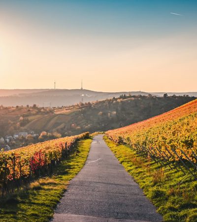 que faire à stuttgart