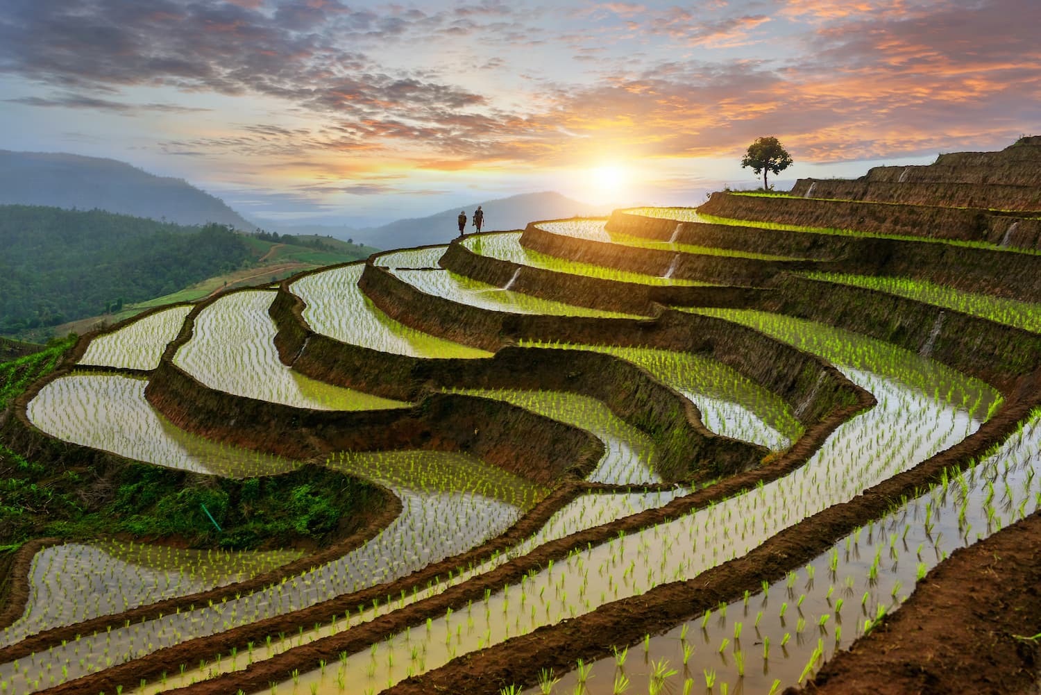 partir en thailande