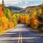 que faire au québec