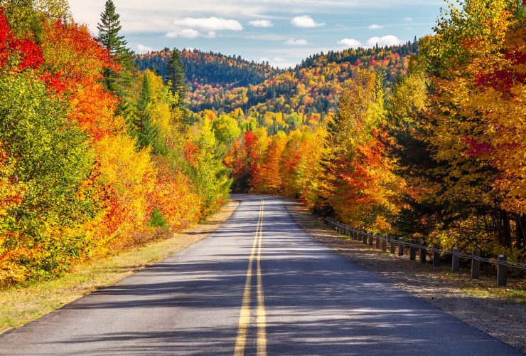 que faire au québec