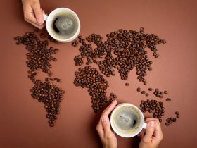 tour du monde du café