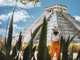 Que faire à Yucatan ?
